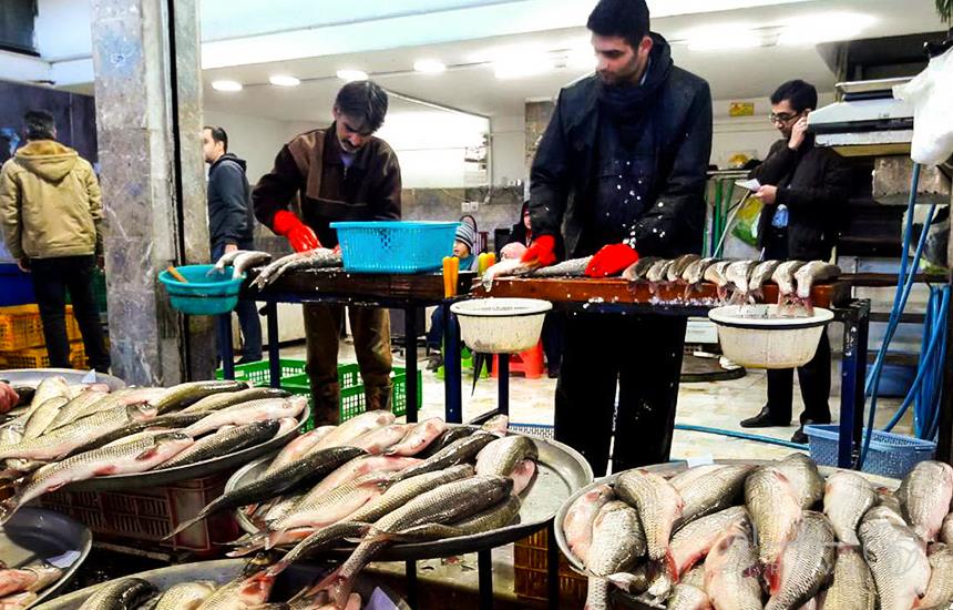 bushehr fish market